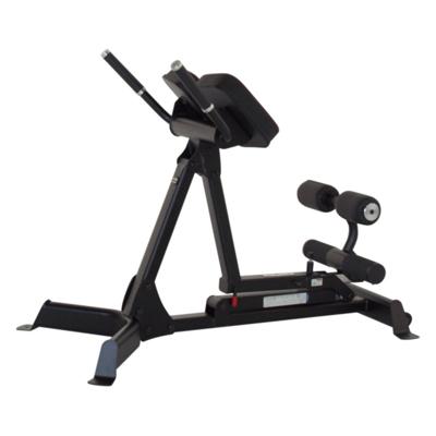 Inspire Verstelbare Hyperextension 45-90 graden