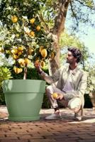 Elho vibia campana round 47 pistache green - thumbnail