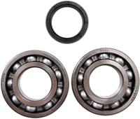ALL BALLS Racing krukas lagerset crankshaft bearing set ab 24-1081 with simmerrings - thumbnail