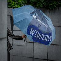 Wednesday Umbrella Wednesday with Cello - thumbnail