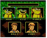 Battletoads & Double Dragon (Retro-Bit) - thumbnail