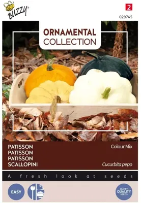 Zaden Ornamental Patisson Colour Mix Buzzy - Buzzy