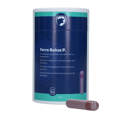 Excellent Ferro Bolus P 24 x 8,5 g Excellent Ferro Bolus P 24 x 8,5 g