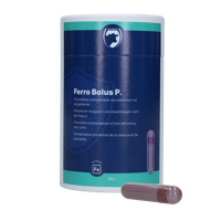 Excellent Ferro Bolus P 24 x 8,5 g - thumbnail