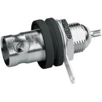 Telegärtner 100023405 100023405 BNC-connector Bus, inbouw verticaal 50 Ω 1 stuk(s) - thumbnail