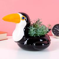 Toekan zwemband potje - thumbnail