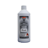 Hesi Hesi PH- Bloei - thumbnail