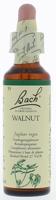 Bach Flower Remedie 33 Walnut 20ml - thumbnail