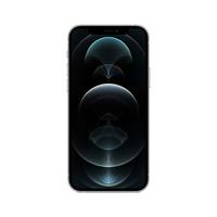 Refurbished iPhone 12 Pro 256 GB Zilver Zichtbaar gebruikt - thumbnail