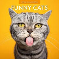 Funny Cats Kalender 2026 - thumbnail