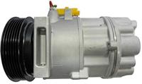 Compressor, airconditioning ACP1343000S - thumbnail