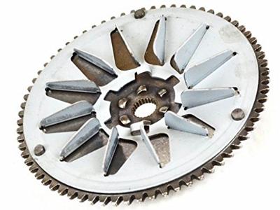 Vicma Pulleys tecnicum 36589