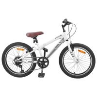 Mountainbike 24 Inch 6-Speed voor 8-12 jaar oud Wit - thumbnail