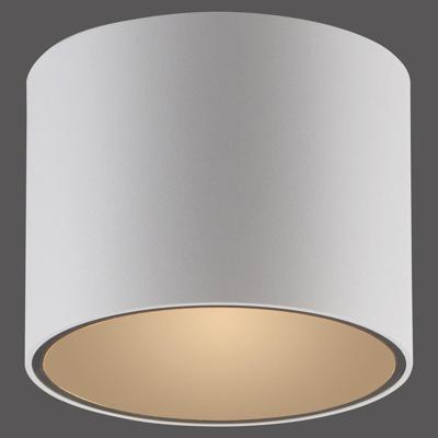 Paul Neuhaus Plafond opbouwspotPure Point Ø 11cm - wit - 6761-16