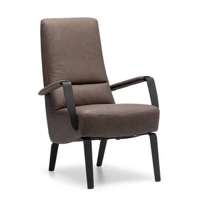 Fauteuil X-108 Bruin Leer