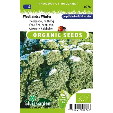Boerenkool Westlandse Winter BIO zaden