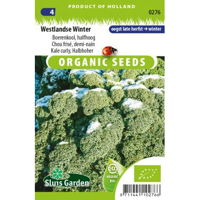 Boerenkool Westlandse Winter BIO zaden - thumbnail