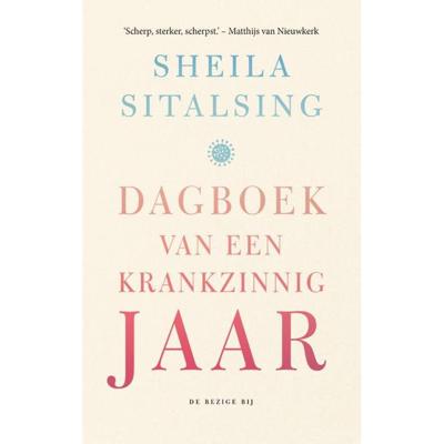Dagboek van een krankzinnig jaar (Paperback)