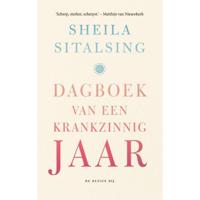 Dagboek van een krankzinnig jaar (Paperback) - thumbnail