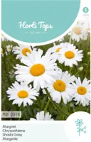 Zaden Chrysanthemum Margriet May Queen Hortitops - Hortitops - thumbnail