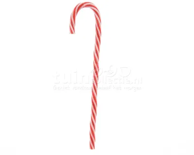 Kerstornament Zuurstokje Rood/Wit 1st