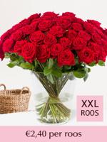 Rode rozen - XXL rozen 65 cm - 10 t/m 99 rozen - Red Naomi - thumbnail