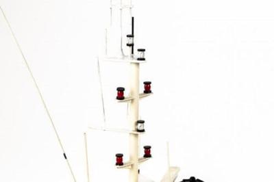 Billing Boats Emile Robin houten en kunststof scheepsmodel 1:33