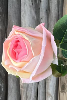 Enkele roos roze Buitengewoon de Boet - Buitengewoon de boet