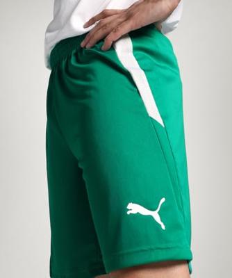 PUMA teamLIGA Voetbalbroekje Groen Wit PUMA teamLIGA Voetbalbroekje Groen Wit