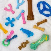 Nylabone kauwbot puppy chew bone souper Gebr. de Boon - Gebr de boon - thumbnail