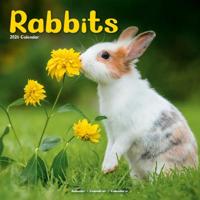 Rabbits Calendar 2026 Square Animal Wall Calendar - 16 Month - thumbnail