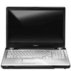 Een jaar op stap door het wilde België - Pim Niesten - ebook