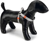 BZ NYLON BORSTT UNI LGRS 26-40X10 - thumbnail