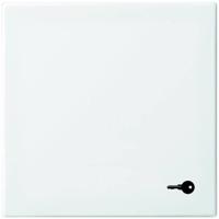 Busch-Jaeger 2520 TR-914 Wipschakelaar sleutel Afdekking Busch-balance SI Alpine-wit 1 stuk(s) - thumbnail