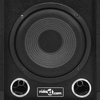 VidaXL Hifi-podiumluidsprekers 2 st passief professioneel 800 w zwart - thumbnail