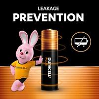 Oplaadbare Batterijen DURACELL - thumbnail
