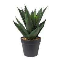 Kunstplant aloe vera - 28 cm - thumbnail
