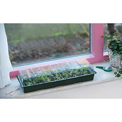 Vensterbank kweekset 10x49x15.5cm Vensterbank kweekset 10x49x15.5cm