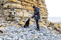 KONG Hiking Bag - thumbnail