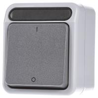 Merten MEG3112-8029 Uitschakelaar AquaStar Lichtgrijs 1 stuk(s) - thumbnail