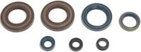 ATHENA motor-keerring set motorshield 600 lc4, 87-94, - thumbnail
