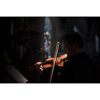 RØDE TF5 condensatormicrofoon stereo set - thumbnail