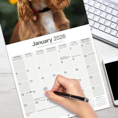 Engelse Cocker Spaniel Kalender 2026 Engelse Cocker Spaniel Kalender 2026