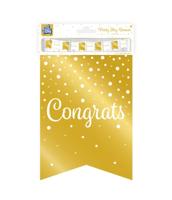 Vaandel Vlaggenlijn Congrats Goud/Wit (6m) - thumbnail