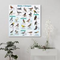 Samsung Galaxy A56 17 cm (6.7") Dual SIM Android 15 5G USB Type-C 8 GB 128 GB 5000 mAh Roze - thumbnail