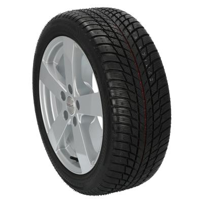 Bridgestone DriveGuard Winter