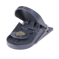 Muizenval SuperCat - thumbnail