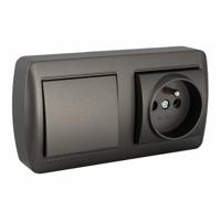 Dubbele Stopcontact + Schakelaar Basis Solera Mural 2p+t 250 V 16 A Grafiet - thumbnail
