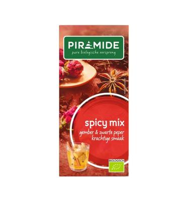 Piramide Spicy thee eko bio 20 Zakjes