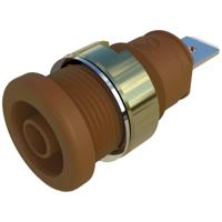 SKS Hirschmann SEB 2610 F4,8 Veiligheids-labconnector, female Bus, inbouw verticaal Stift-Ø: 4 mm Bruin 1 stuk(s) - thumbnail